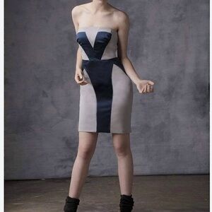 Chloe DAO Lenox Mini Tube Dress Taupe Gray & Black Sleeveless 2